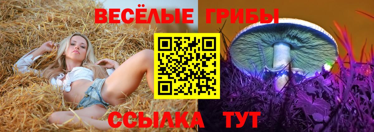 Галлюциногенные грибы прущие грибы Орехово-Зуево